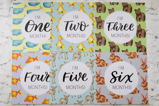 Baby months art photo cards 