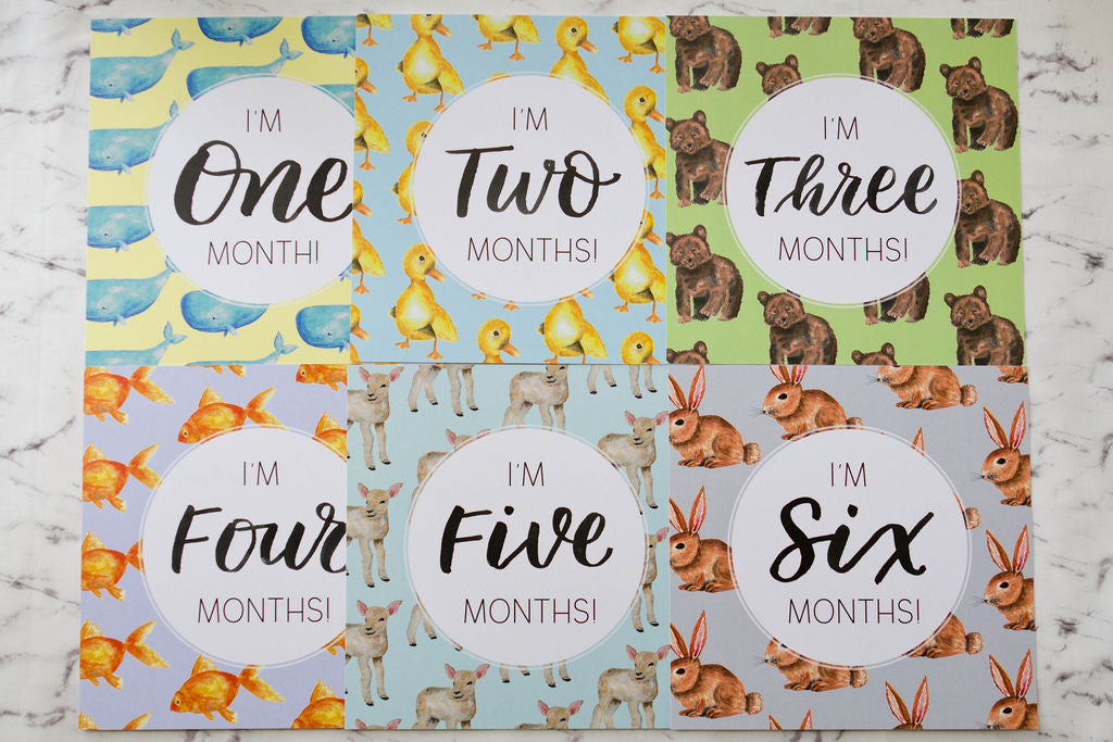 Baby months art photo cards 