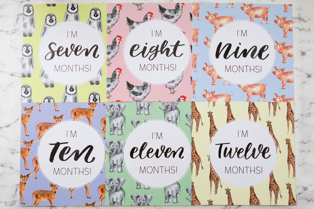Baby months art photo cards 